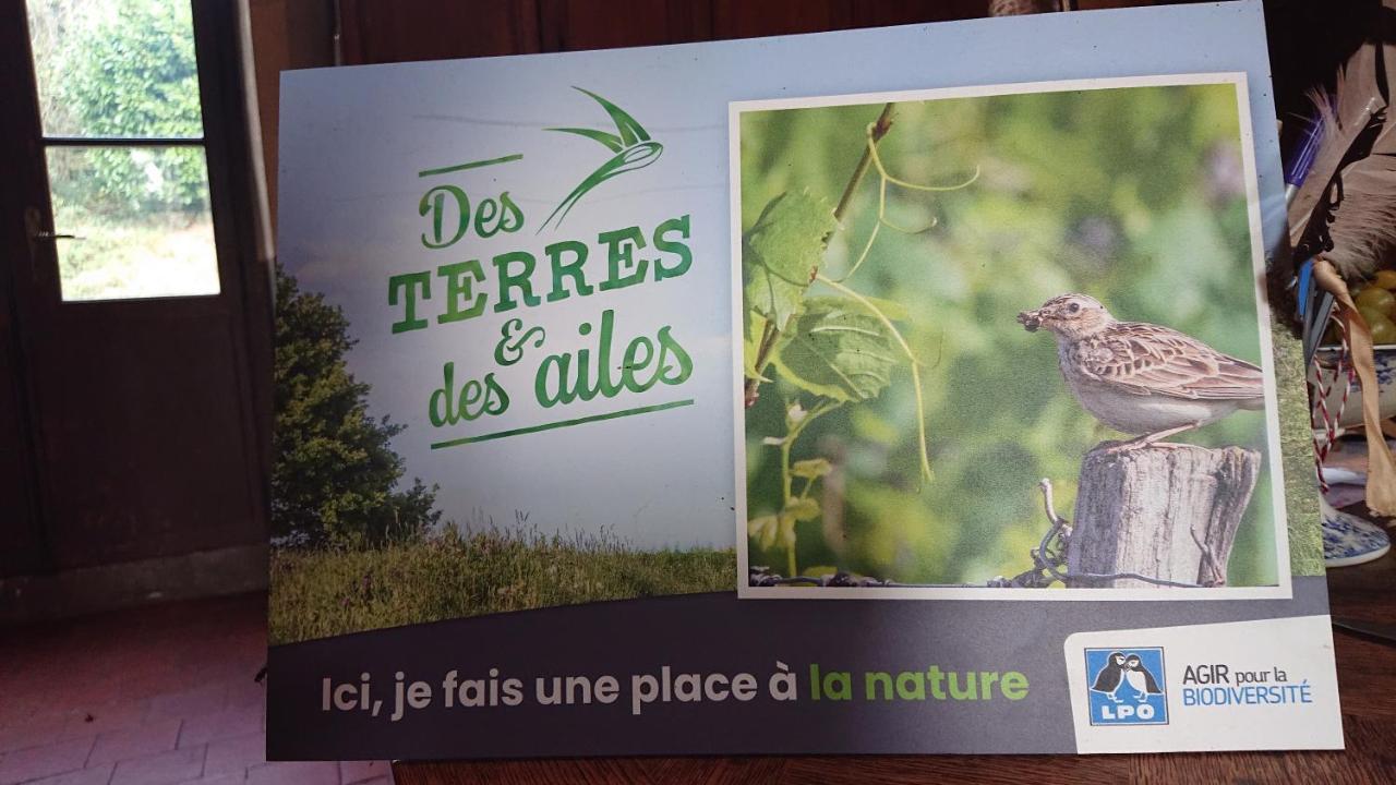 Chateau De Durianne Le Monteil  エクステリア 写真