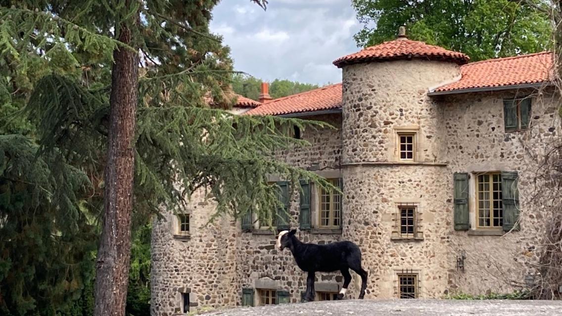 Chateau De Durianne Le Monteil  エクステリア 写真
