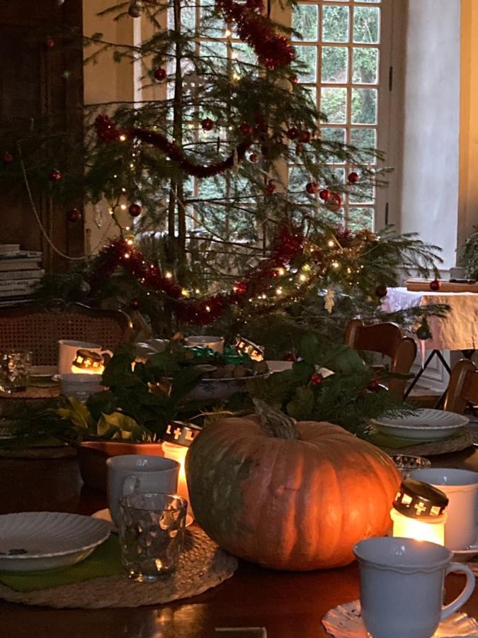 Chateau De Durianne Le Monteil  エクステリア 写真