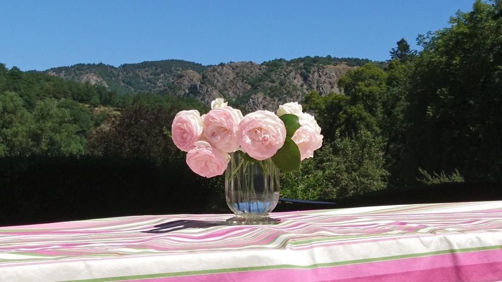 Chateau De Durianne Le Monteil  エクステリア 写真