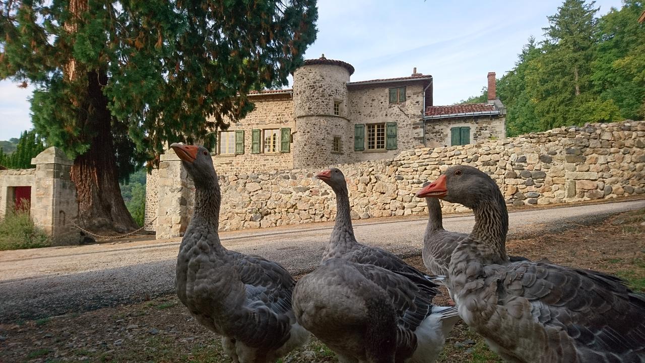 Chateau De Durianne Le Monteil  エクステリア 写真