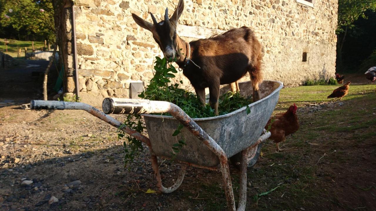 Chateau De Durianne Le Monteil  エクステリア 写真